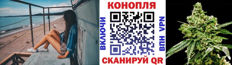  Cocaine Шенкурск