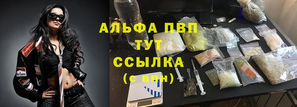 сатива Абаза