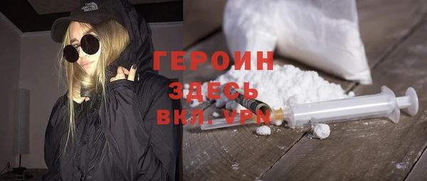 индика Алексин