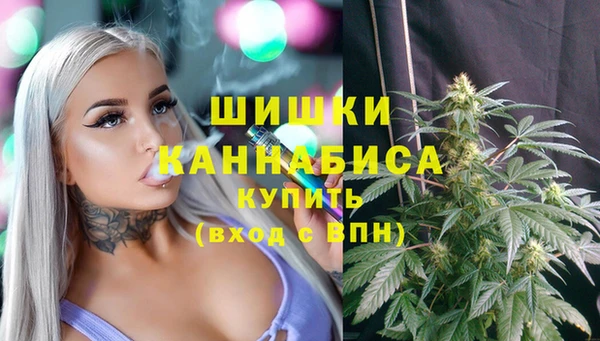 сатива Абаза
