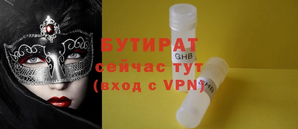 индика Алексин