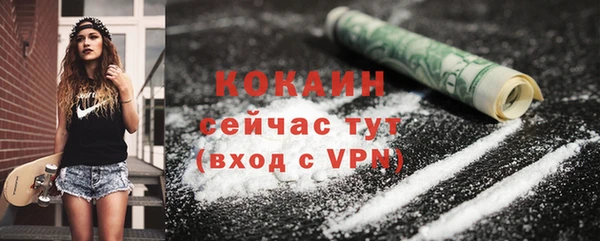 сатива Абаза