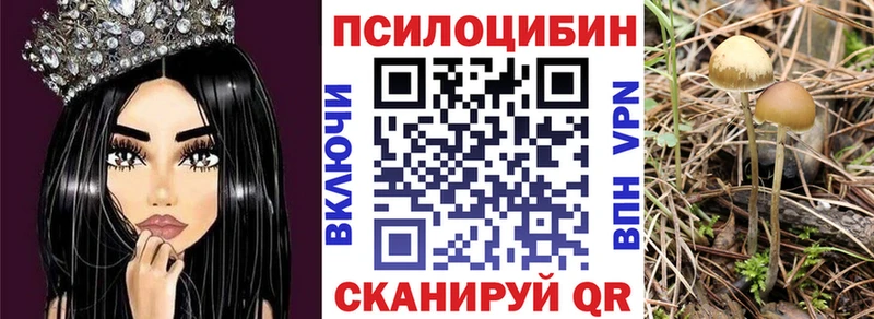 OMG зеркало  Шенкурск  Галлюциногенные грибы GOLDEN TEACHER 