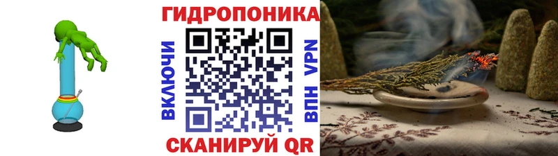 как найти закладки  Шенкурск  Бошки Шишки OG Kush 